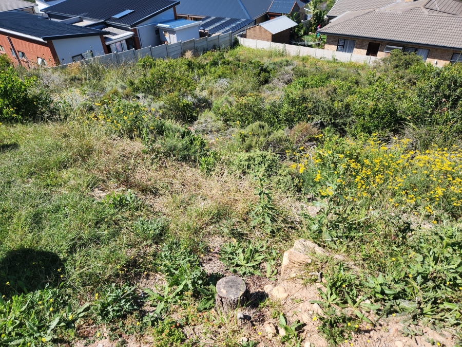 0 Bedroom Property for Sale in Seemeeu Park Western Cape